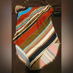 Newport News Multicolor Striped Swimsuit